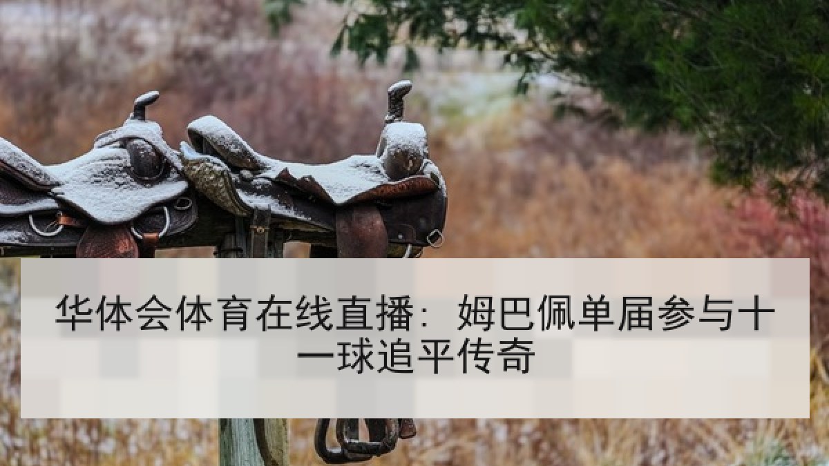 华体会体育在线直播: 姆巴佩单届参与十一球追平传奇