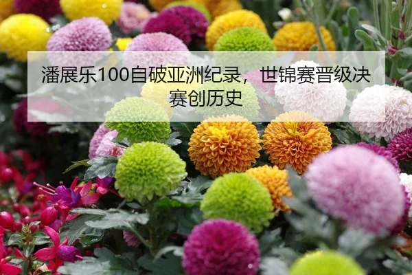 潘展乐100自破亚洲纪录，世锦赛晋级决赛创历史