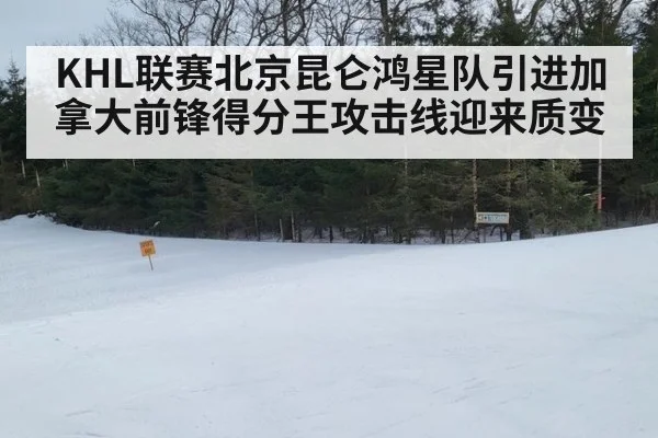 KHL联赛北京昆仑鸿星队引进加拿大前锋得分王攻击线迎来质变
