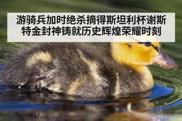 游骑兵加时绝杀摘得斯坦利杯谢斯特金封神铸就历史辉煌荣耀时刻